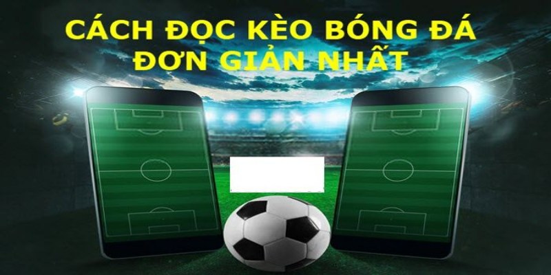 Khái quát thông tin về con số điểm chơi đưa ra