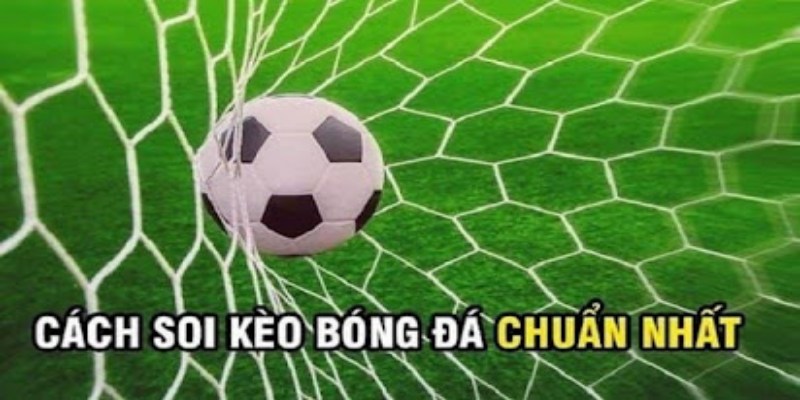Soi Kèo Chính Xác Bóng Đá Giúp Nâng Cao Tỷ Lệ Thắng